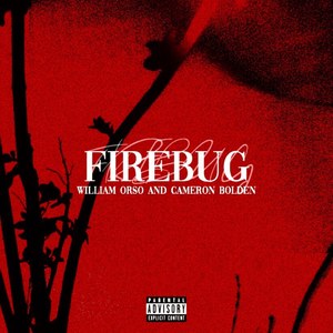 Firebug