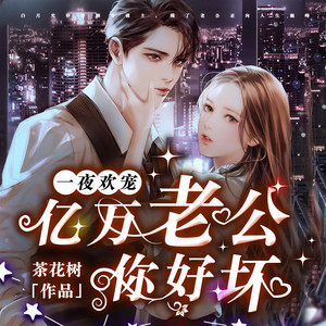 一夜欢宠：亿万老公你好坏-第0627集-他是最好看的男人 (DJ长音频) - 凌茉;温如言;毛球儿;小言;鸿达以太封面