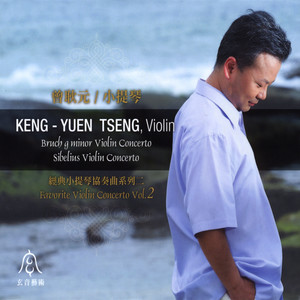 Violin Concerto In d Minor, Op. 47 - III. Allegro, Ma Non Tanto