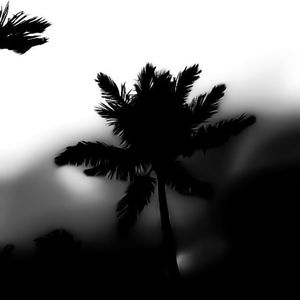 Moncler Year (Explicit)