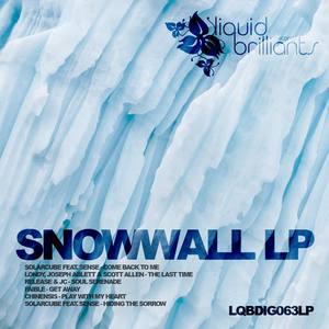 Snowwall