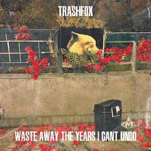 waste away the years i can't undo