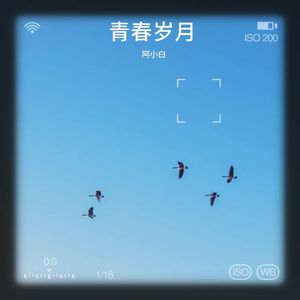 青春岁月 (伴奏)