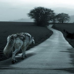 Am Training (Explicit)