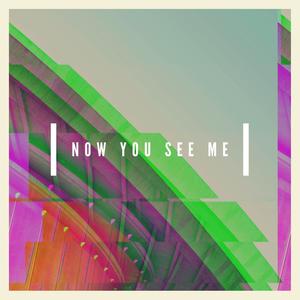 Now You See Me (Explicit)