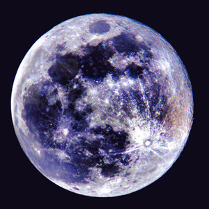 Moon blossom