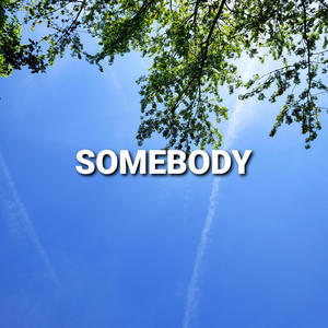 Somebody (Explicit)