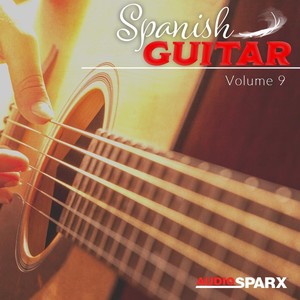 Spanish Guitar Volume 9