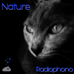 Maqi Boy (Original Mix)