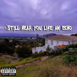 Still Hear You Like An Echo (feat. Yung Scuff) [Explicit]