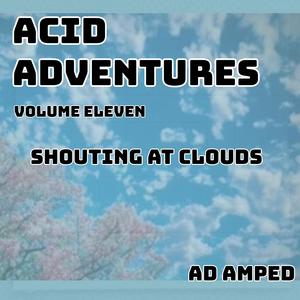 Acid Advventures : Volume eleven (Shouting at clouds ep)