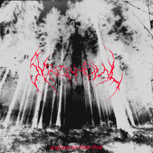 SIREN HOWL (slow&reverb remix|Explicit)