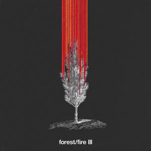 forest/fire III (forever version)