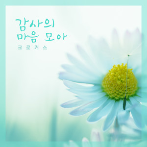 감사의 마음 모아