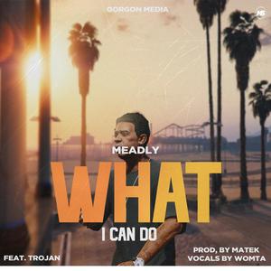 WHAT I CAN DO (feat. Trojan Marley) [Explicit]