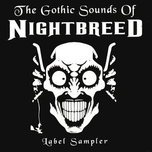 The Gothic Sounds of Nightbreed