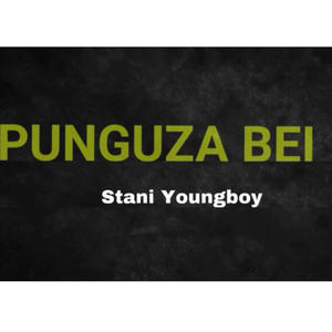 Punguza Bei