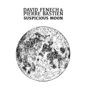 Suspicious Moon