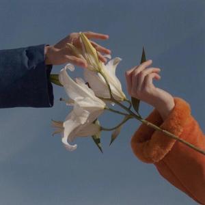 情人 (温柔版|翻自 蔡徐坤)