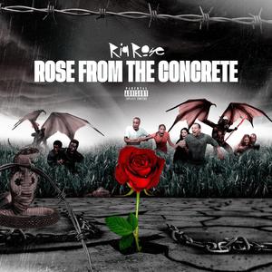 Rose From The Concrete (Explicit)