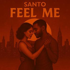 Feel Me-Dj Santo