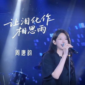 让泪化作相思雨 (DJ阿尼)封面