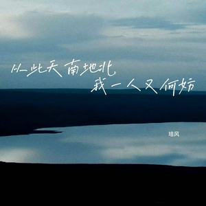 从此天南地北 我一人又何妨