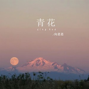 青花--向思思