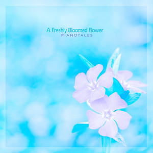 갓 피어난 꽃 (A Freshly Bloomed Flower)