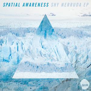 Shy Nerruda EP