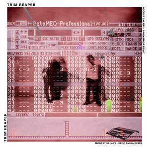 Modest Salary (SPOD Amiga Remix)