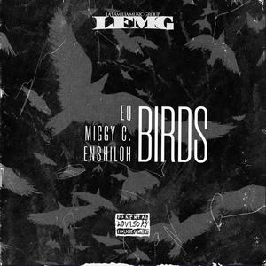 BIRDS (feat. Miggy C. & Enshiloh) (Explicit)
