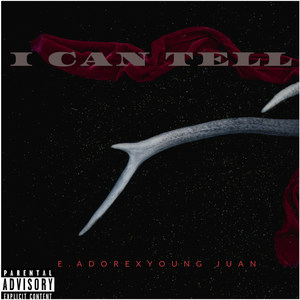 I Can Tell (Explicit)