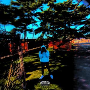 #2024DYCE lostflies v1 (Explicit)