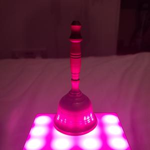 Tommo - bing x bong (2022 Remaster)