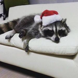 Winter in Miami (feat. Sir Rodrigues, Y4vin & Saints) (Explicit)