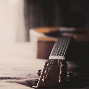 后来【2019届高三9班】