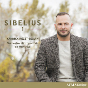 Sibelius: Symphony No. 1 In E Minor, Op. 39 - I. Andante, ma non troppo - Allegro energico