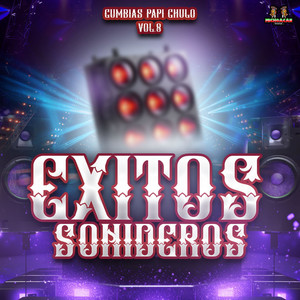 Cumbias Papi Chulo Vol. 8