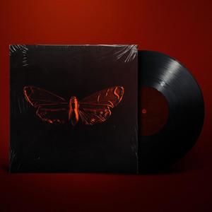 Optimus (feat. Carles)