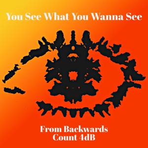 You See What You Wanna See (feat. Count 4dB) [Explicit]