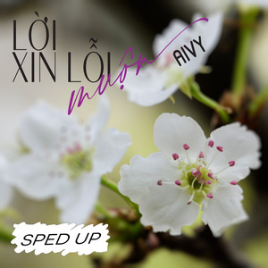 Lời Xin Lỗi Muộn (Sped Up)