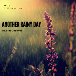 Another Rainy Day