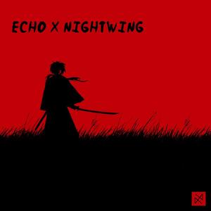 Echo X Nightwing