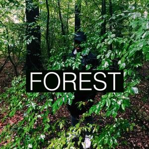 Forest (feat. Stevie Dutch & Paysh) [Explicit]