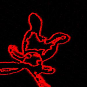 healing journey (feat. Dan Gerlow) (Explicit)