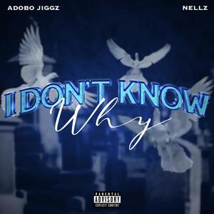 I dont know why (feat. Nellz) [Explicit]