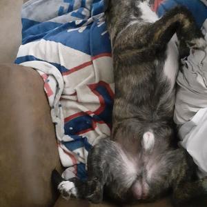 IM ****ED UP (Explicit)