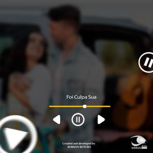 Foi Culpa Sua