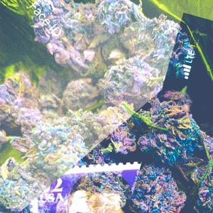 Hangman(feat. Billy Bodiene) (Explicit)